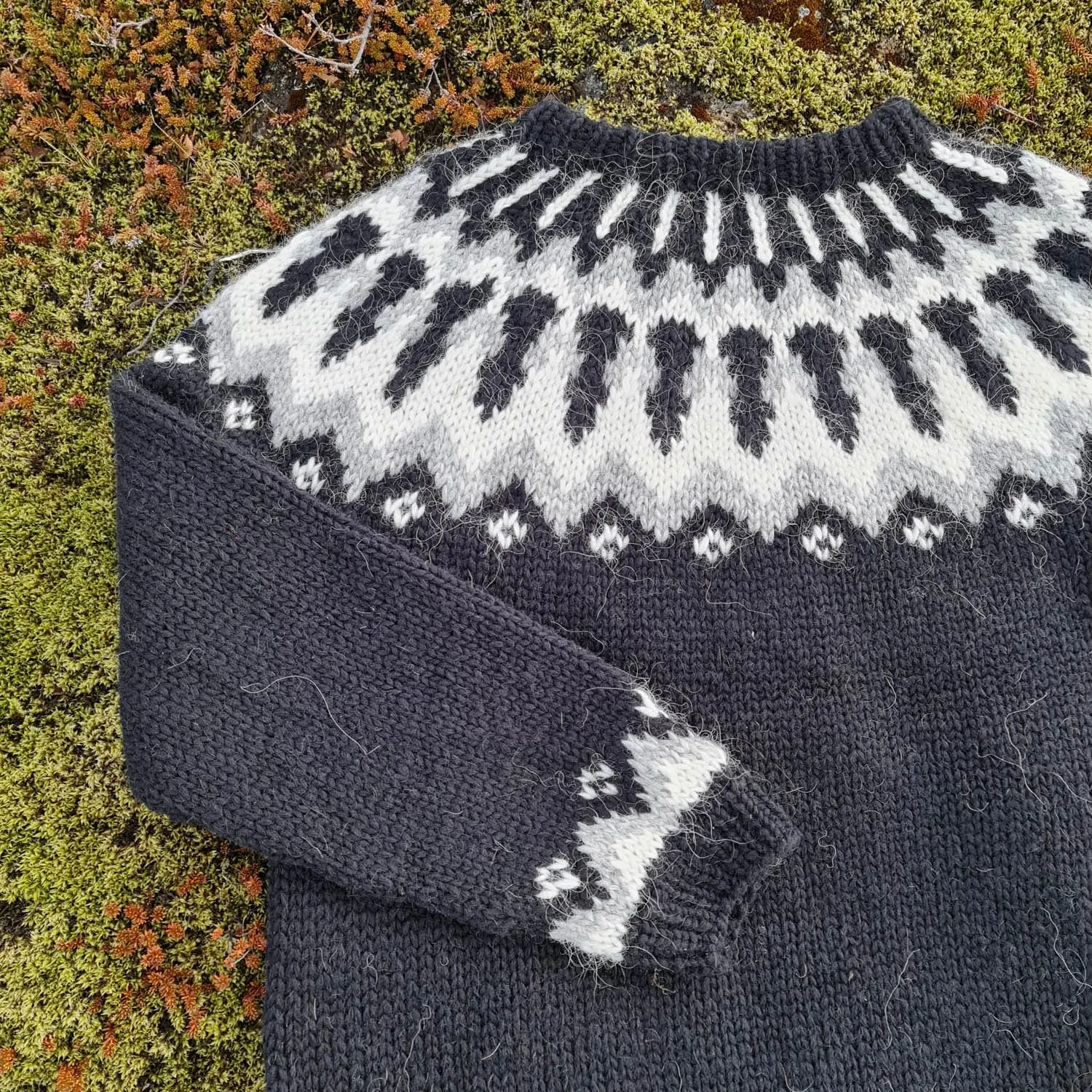 Forseti - Icelandic Sweater - Black