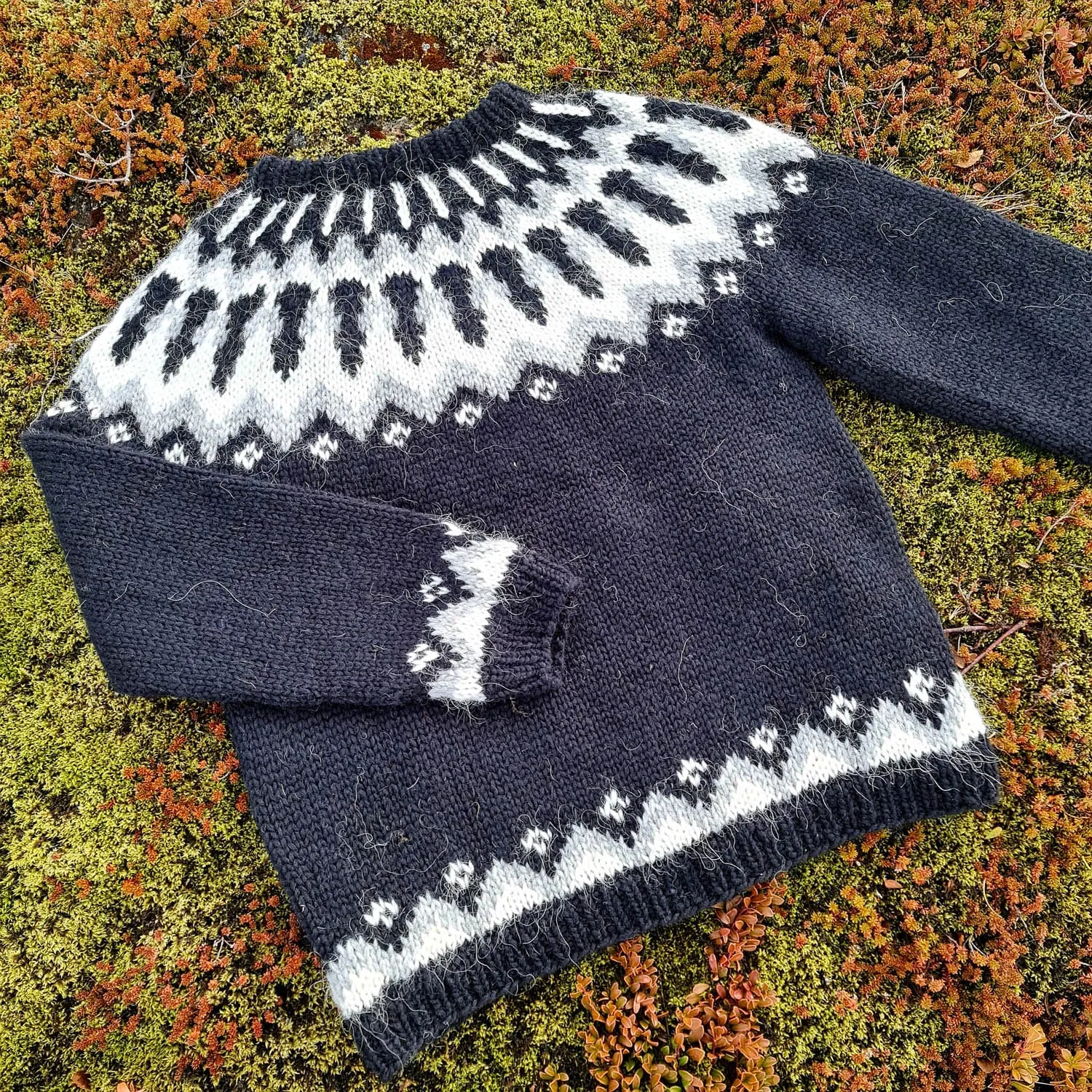 Forseti - Icelandic Sweater - Black