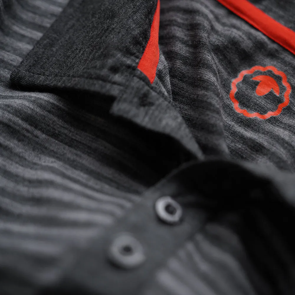 Mens Merino 180 Short Sleeve Polo Shirt (Stripe Smoke/Charcoal)