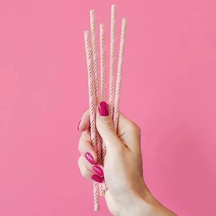 Pale Pink & Gold Striped Paper Straws (10 Pack)