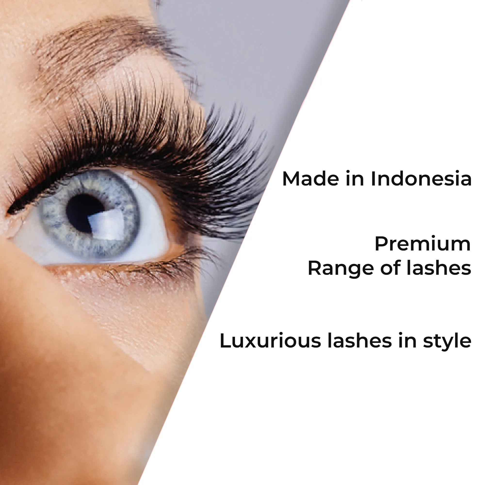 Professional Individual Super Ultra Thick Lashes, 10 Ply Flare Black, Knot Free & Medium For Extreme Volume (BF1008-Medium)
