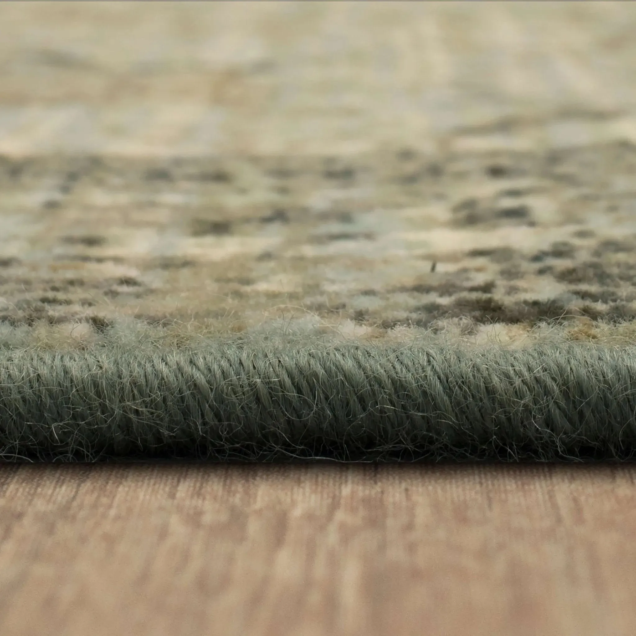 Titanium 39400 16004 Esperance Seaglass Rug